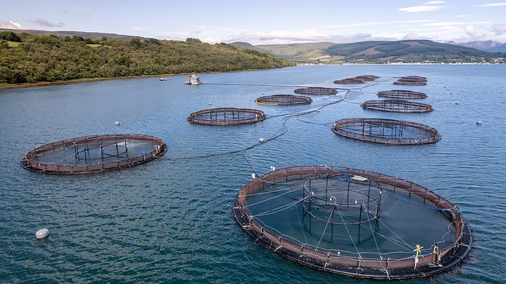 IoT in aquaculture and pH levels