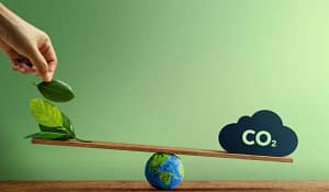 App for tracking the carbon footprint